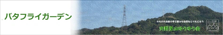 バタフライガーデン-topimg